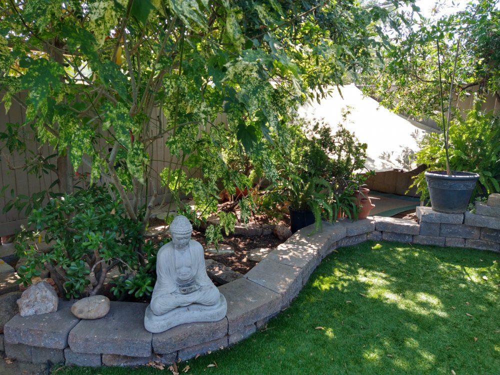 Buddha Garden
