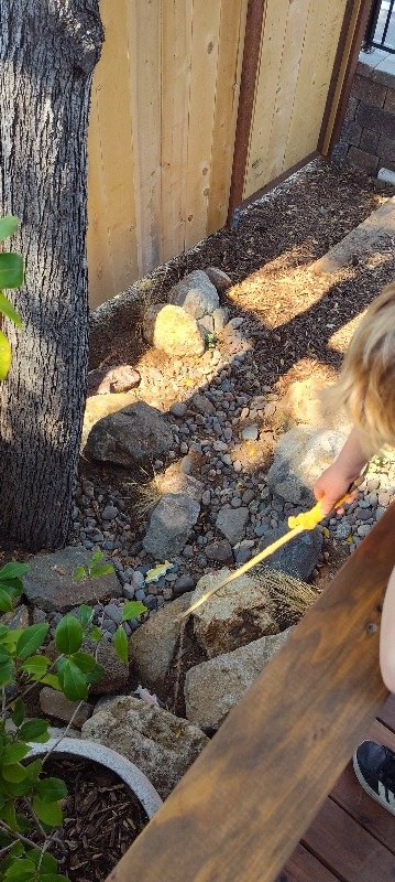 Our Bridge/Dry Creek Garden offers opportunities in quiet reflection, critter watching and Gross and Fine Motor skills development.