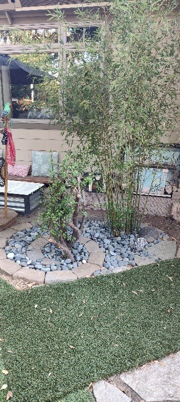 Spiral Garden