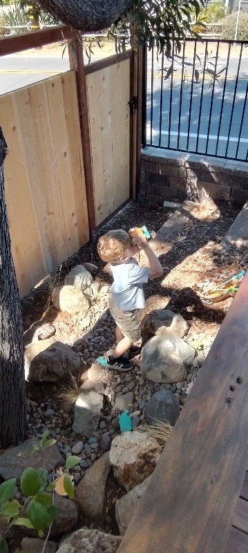 Bird watching from the Dry Creek Garden