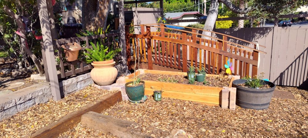 View from the Native/Pollinator Garden